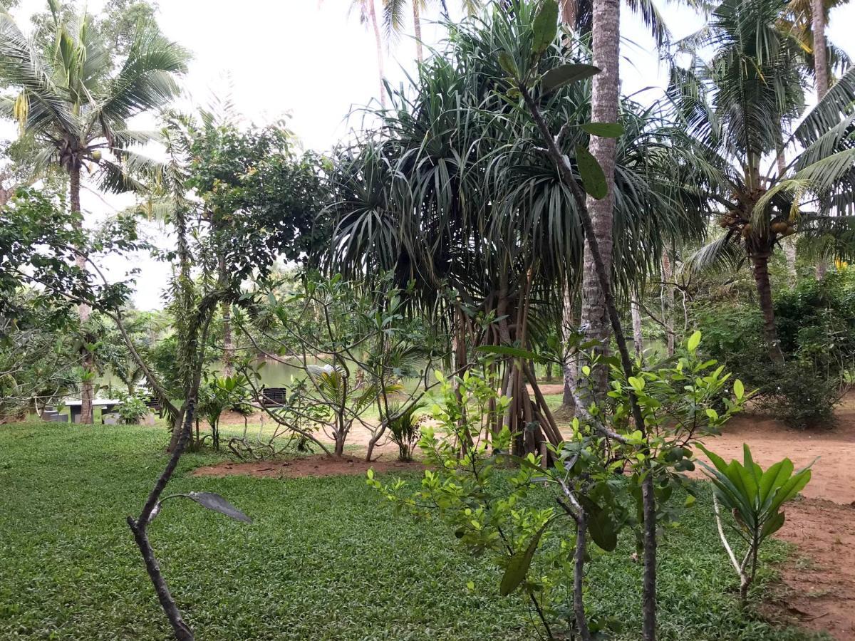 O2 Villas - Weligama Dış mekan fotoğraf